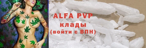 прущая мука Верея
