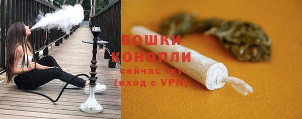 прущие грибы Верхнеуральск