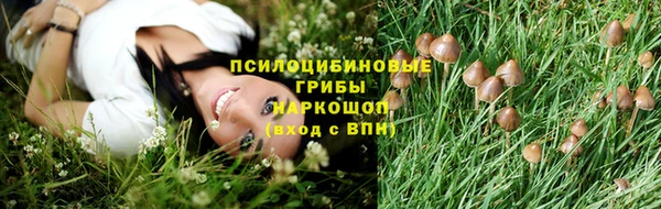ешки Верхний Тагил