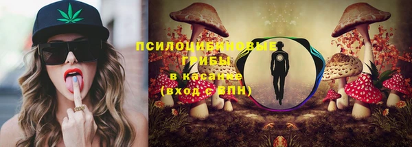 прущая мука Верея