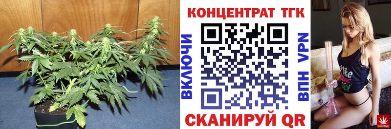 гидра рабочий сайт  где купить   Волжский  ТГК гашишное масло 
