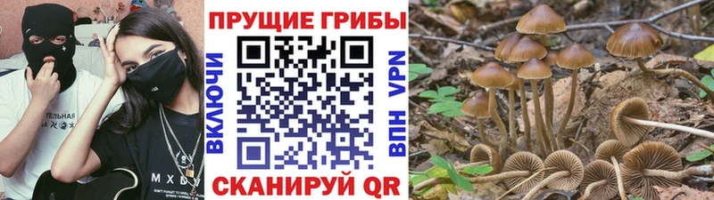 как найти закладки  Волжский  Галлюциногенные грибы прущие грибы 